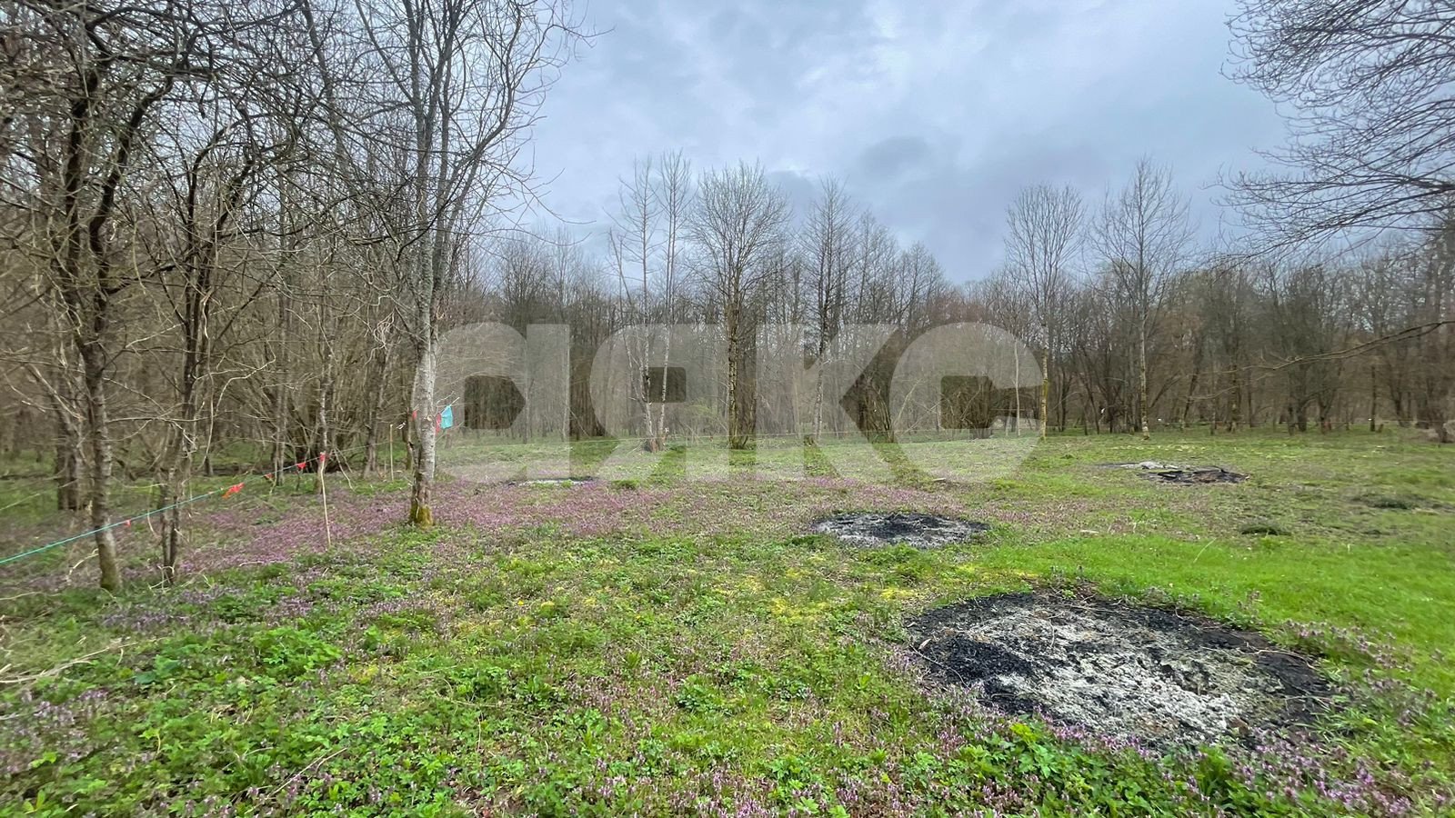 Фото №20: Участок садоводство 10 сот. - садовые участки Лесник