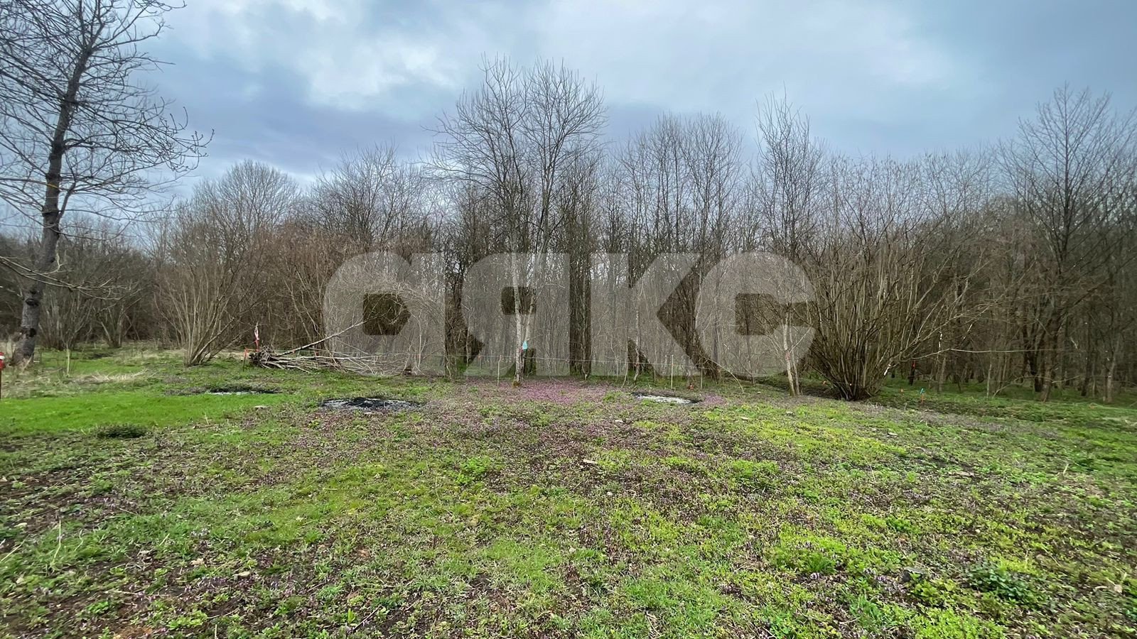 Фото №4: Участок садоводство 10 сот. - садовые участки Лесник