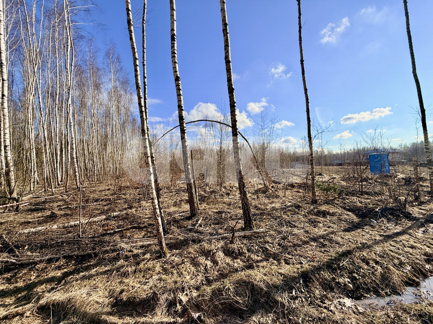 Фото №4: Земельный участок под ИЖС 10 сот. - Бронницы, мкр. КП Бронницы, ул. Лазурная, 1