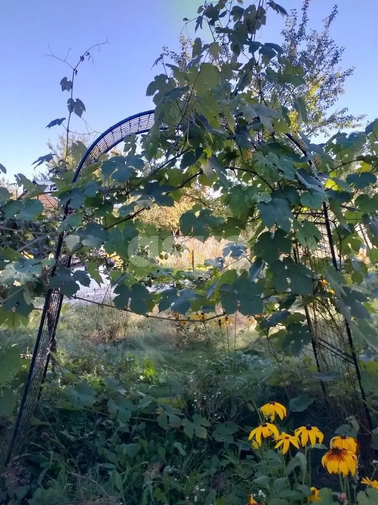 Фото №9: Дача 108 м² + 6 сот. - СНТ Торопово-Заречье, 81