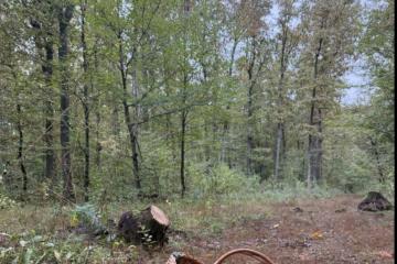 Фото №1: Коммерческая земля 5.85 сот. - Нефтяник, ул. Садовая, 11