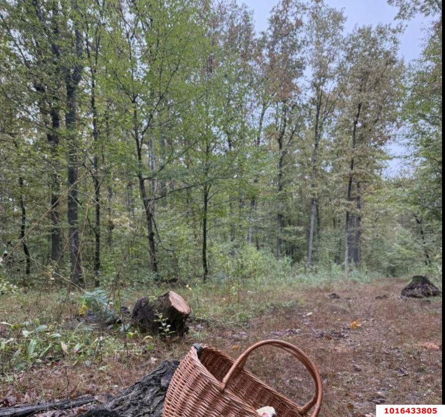 Фото №1: Коммерческая земля 5.85 сот. - Нефтяник, ул. Садовая, 11