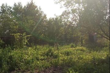 Фото №5: Коммерческая земля 5.85 сот. - Нефтяник, ул. Садовая, 11