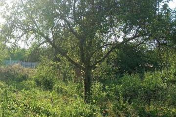 Фото №4: Коммерческая земля 5.85 сот. - Нефтяник, ул. Садовая, 11