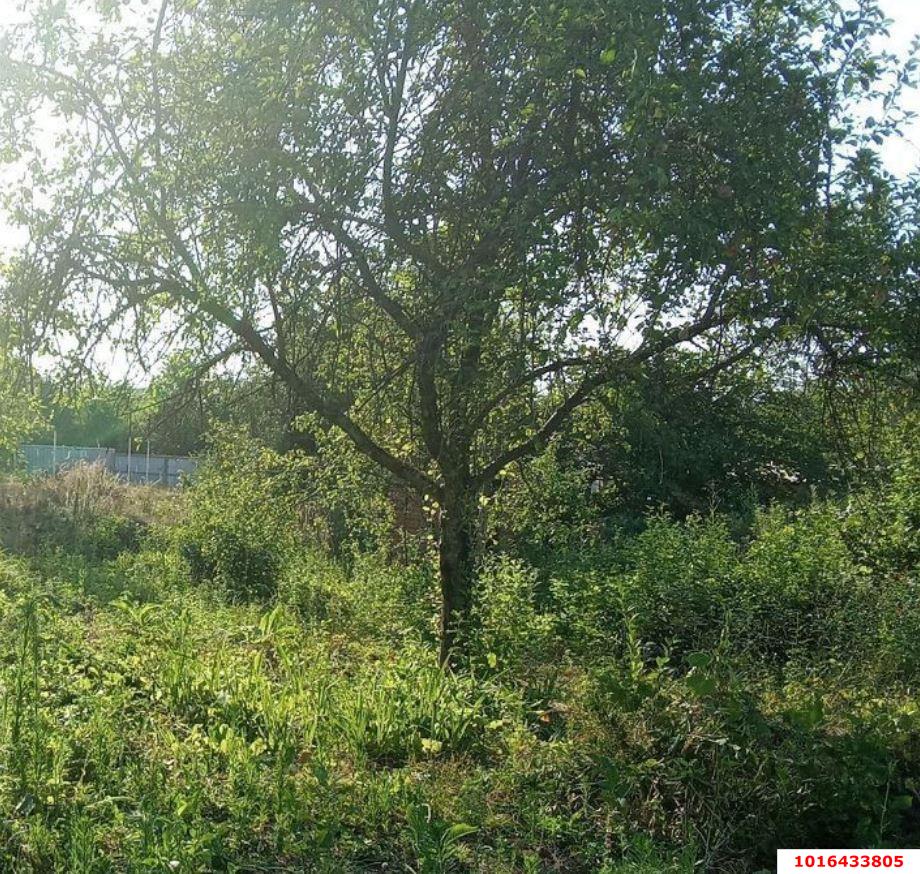 Фото №4: Коммерческая земля 5.85 сот. - Нефтяник, ул. Садовая, 11