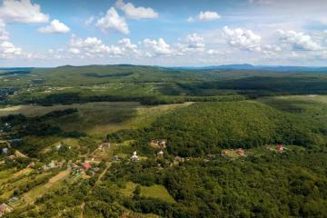 Фото №3: Дом 45 м² - Новоалексеевский, 