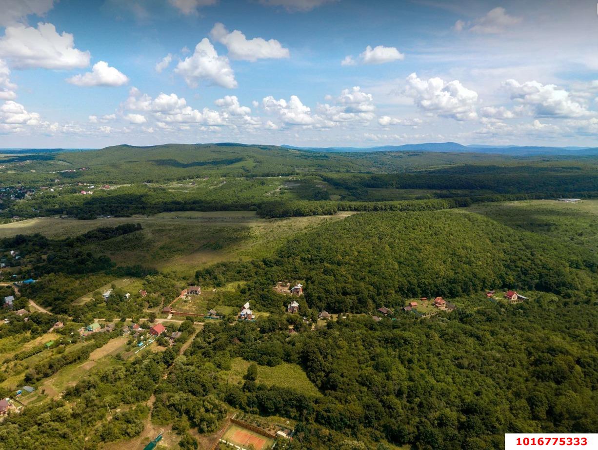 Фото №3: Дом 45 м² + 40 сот. - Новоалексеевский