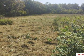 Фото №4: Дом 45 м² - Новоалексеевский, 