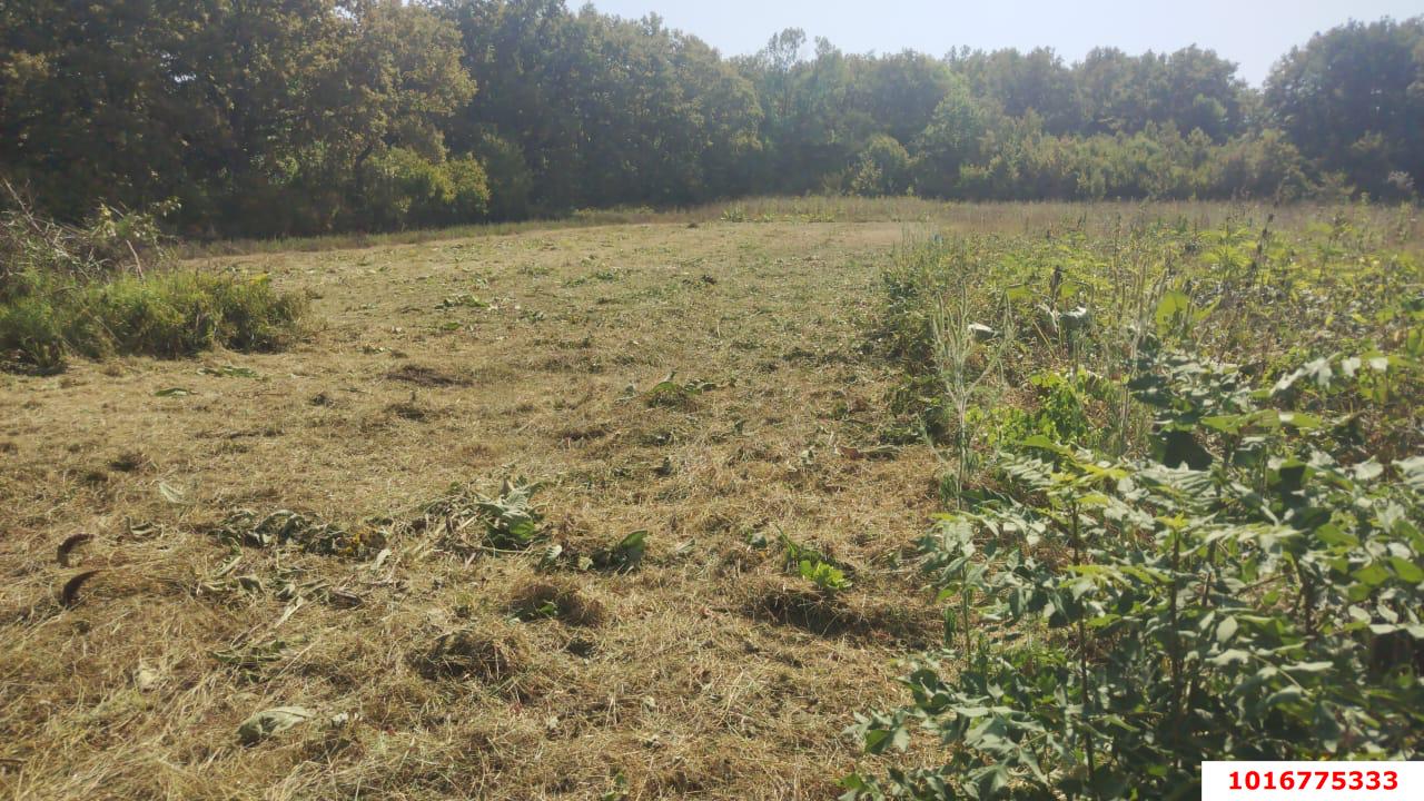 Фото №4: Дом 45 м² + 40 сот. - Новоалексеевский