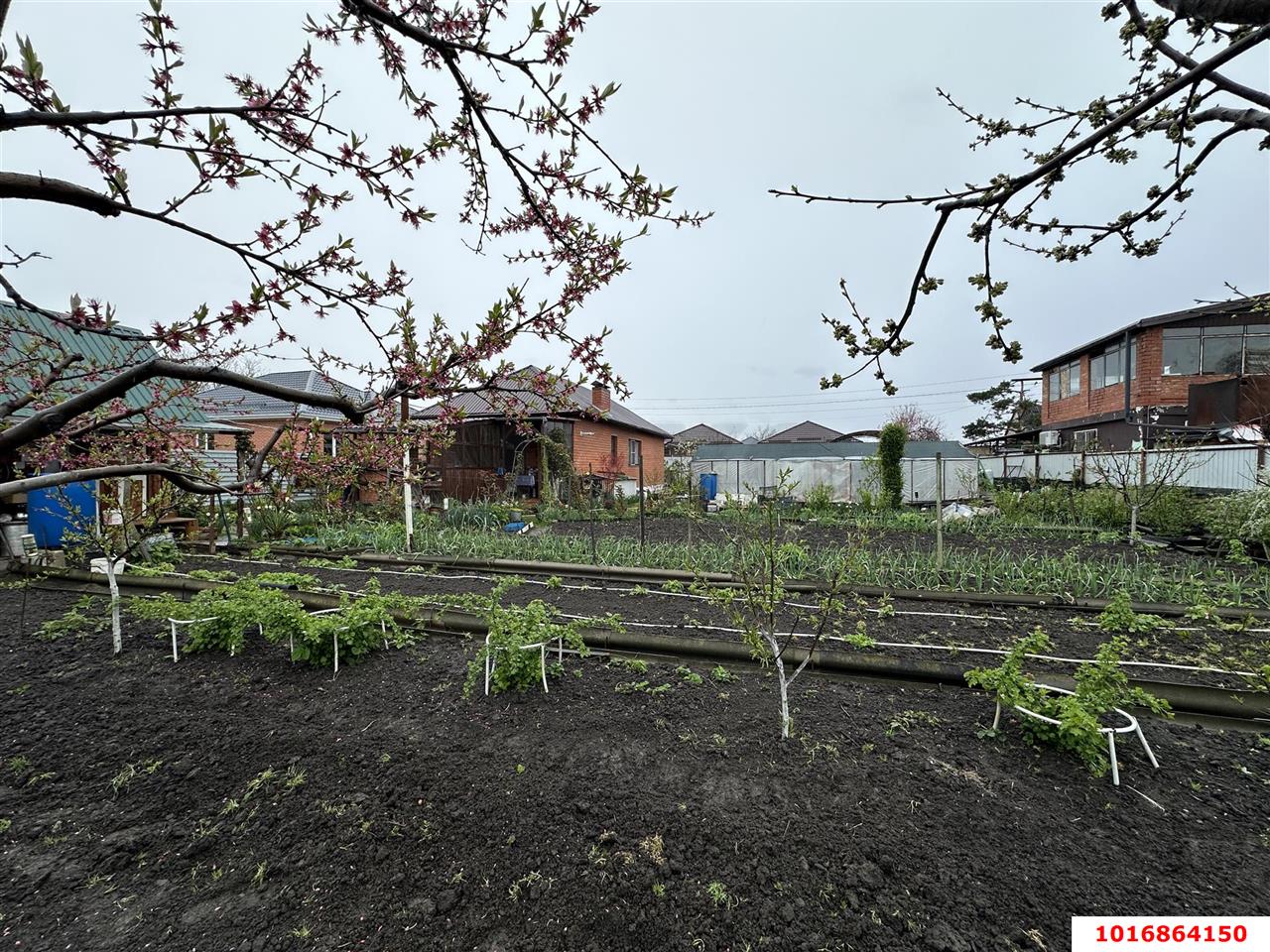 Фото №17: Дом 63 м² + 4.5 сот. - Елизаветинская, Прикубанский внутригородской округ, ст Росинка, ул. Сливовая, 224