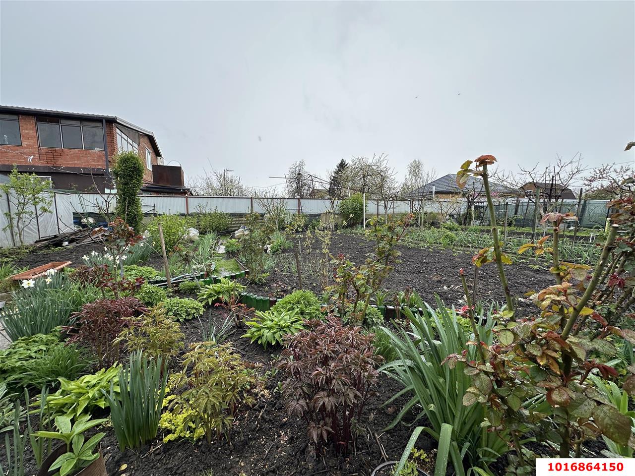 Фото №18: Дом 63 м² + 4.5 сот. - Елизаветинская, Прикубанский внутригородской округ, ст Росинка, ул. Сливовая, 224