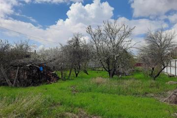 Фото №3: Личное подсобное хозяйство - Знаменский, мкр. СТ Рассвет, ул. Цветочная, 448/2