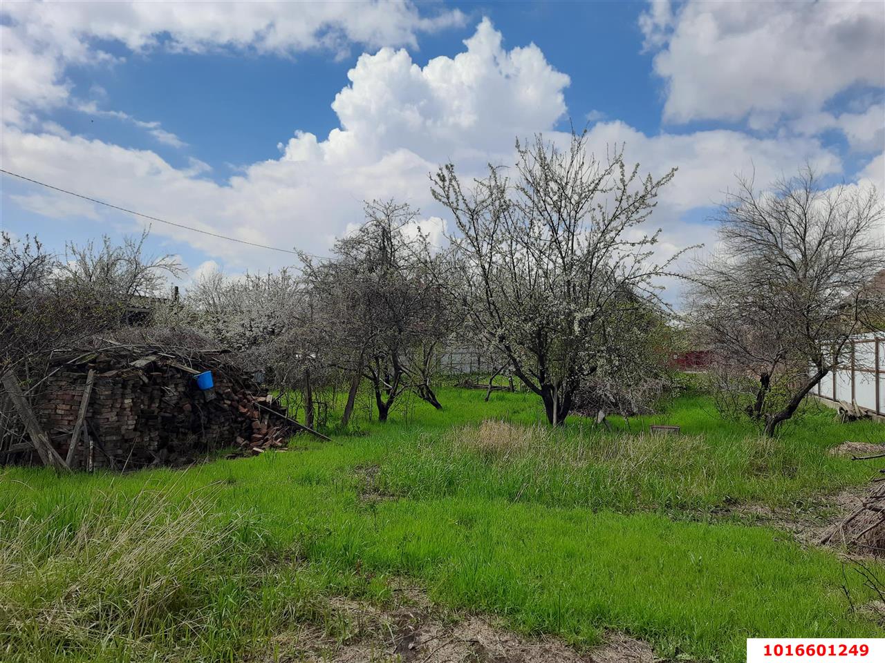 Фото №3: Личное подсобное хозяйство - Знаменский, Карасунский внутригородской округ, мкр. СТ Рассвет, ул. Цветочная, 448/2