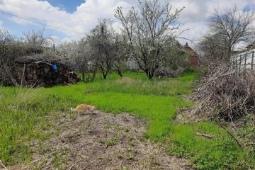 Фото №2: Личное подсобное хозяйство - Знаменский, мкр. СТ Рассвет, ул. Цветочная, 448/2