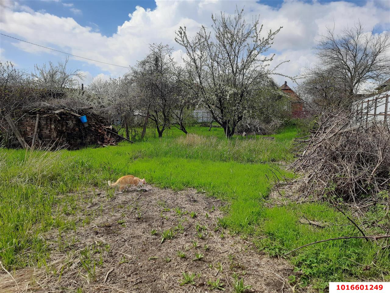 Фото №2: Личное подсобное хозяйство - Знаменский, Карасунский внутригородской округ, мкр. СТ Рассвет, ул. Цветочная, 448/2