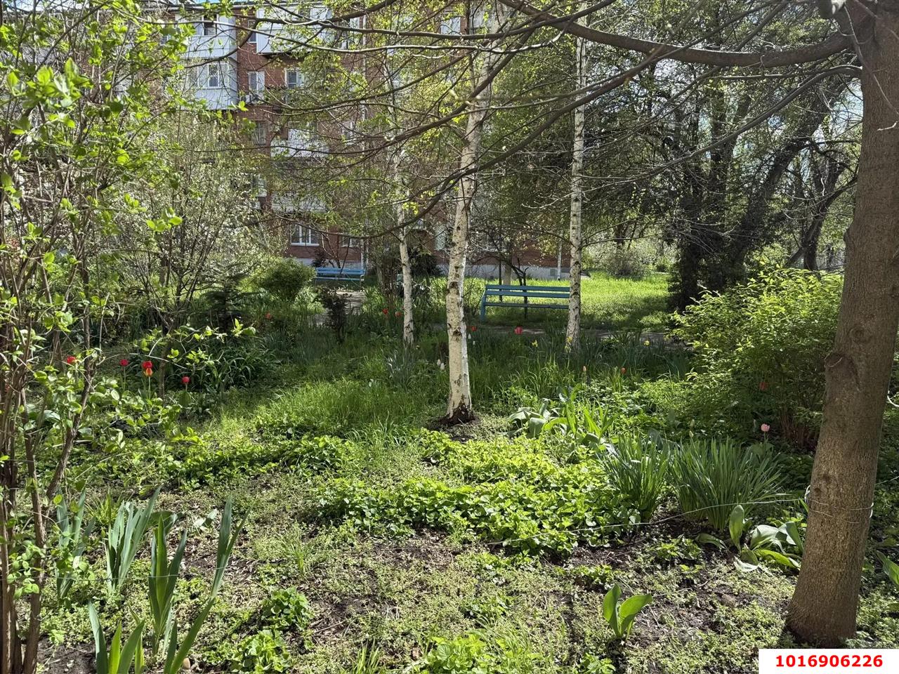 Фото №18: 2-комнатная квартира 42 м² - Краснодар, Прикубанский внутригородской округ, мкр. Авиагородок, ул. Авиагородок, 5