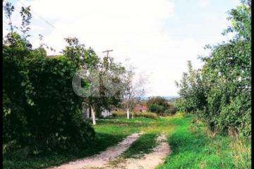 Фото №3: Земельный участок под ИЖС - Чекон, ул. Содружества