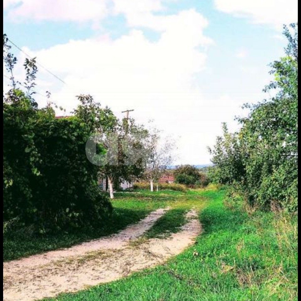 Фото №3: Земельный участок под ИЖС 10.51 сот. - Чекон, ул. Содружества