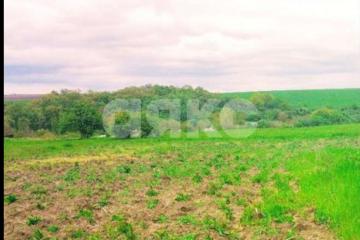 Фото №1: Земельный участок под ИЖС - Чекон, ул. Содружества