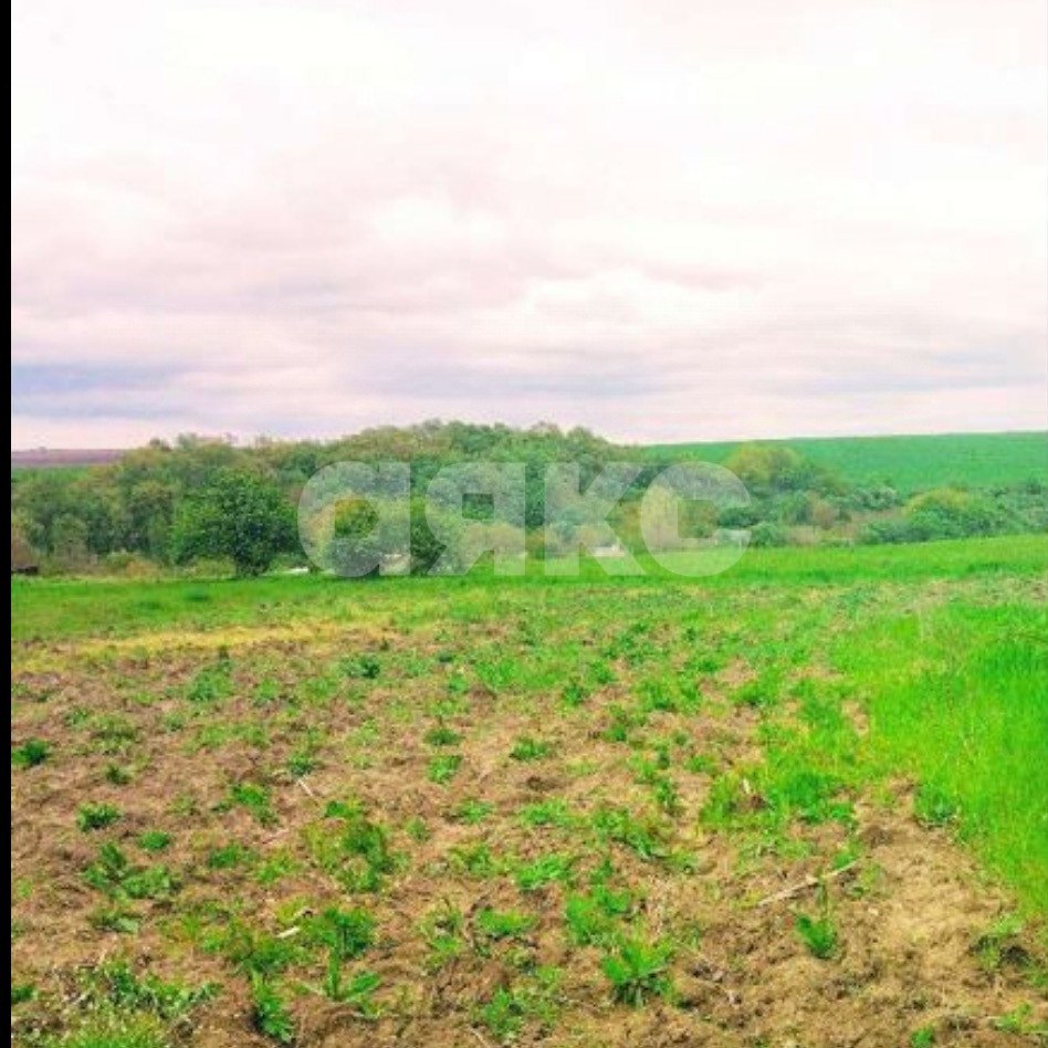 Фото №1: Земельный участок под ИЖС 10.51 сот. - Чекон, ул. Содружества