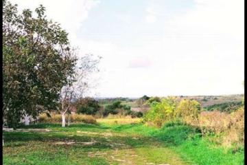 Фото №2: Земельный участок под ИЖС - Чекон, ул. Содружества