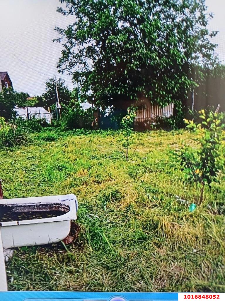 Фото №3: Личное подсобное хозяйство - Октябрьский, Прикубанский внутригородской округ, ст Краснодарский ЗИП-20, ул. Клубничная, 61