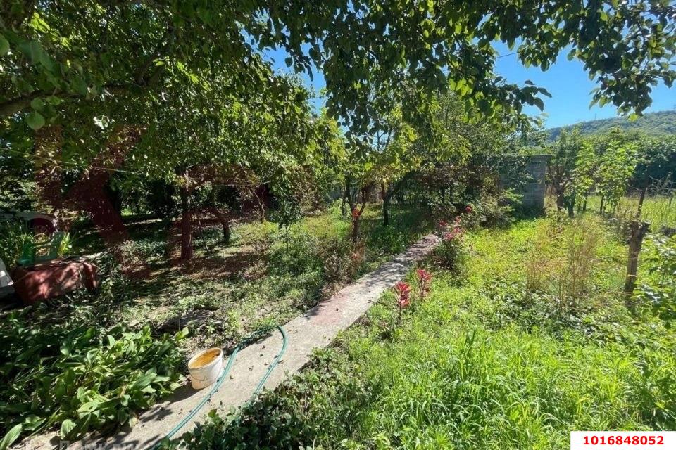 Фото №1: Личное подсобное хозяйство - Октябрьский, Прикубанский внутригородской округ, ст Краснодарский ЗИП-20, ул. Клубничная, 61