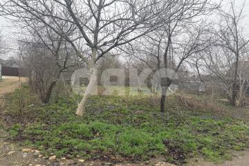 Фото №3: Участок садоводство - Армавир, мкр. 1-е Отделение, ул. Тенистая, 717