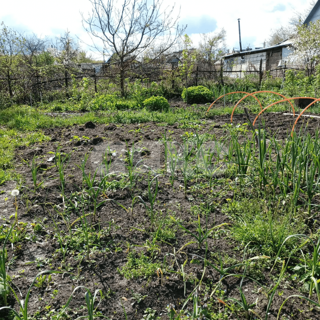 Фото №9: Земельный участок под ИЖС 5 сот. - Горячий Ключ, мкр. Развилка, пер. Гагарина