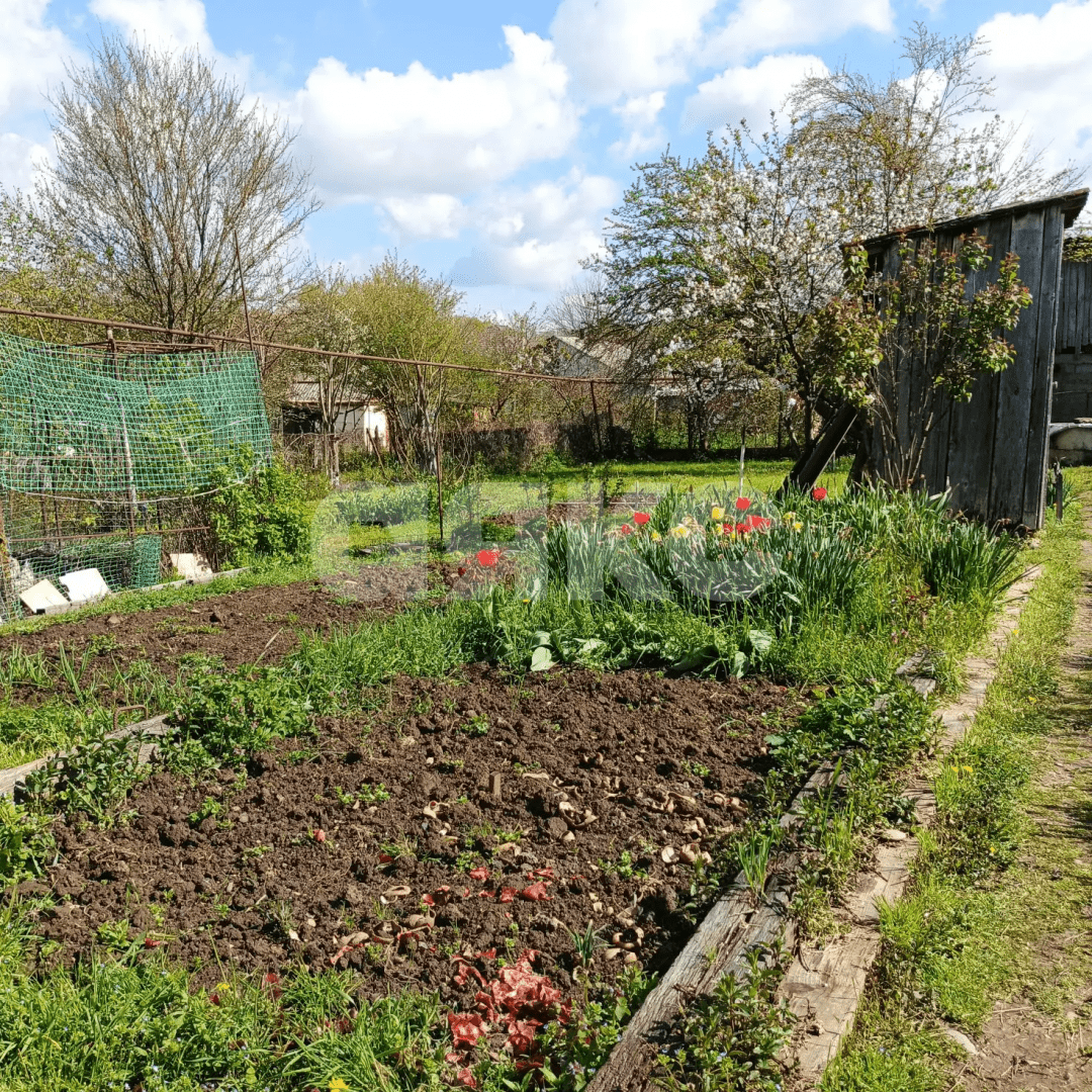 Фото №11: Земельный участок под ИЖС 5 сот. - Горячий Ключ, мкр. Развилка, пер. Гагарина