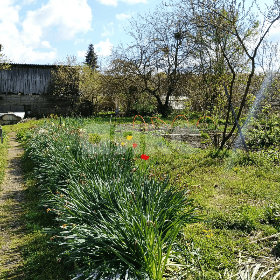 Фото №1: Земельный участок под ИЖС 5 сот. - Горячий Ключ, мкр. Развилка, пер. Гагарина