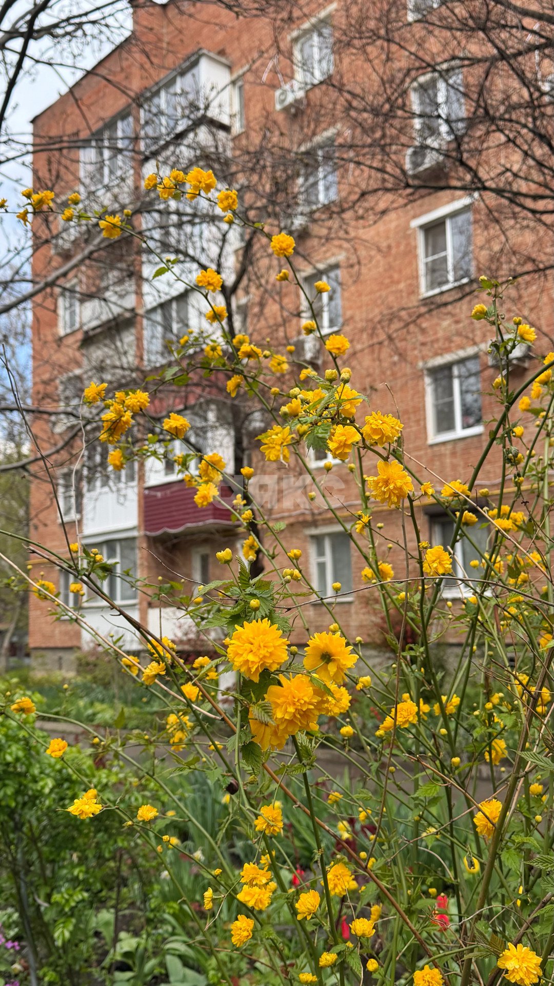 Фото №15: 1-комнатная квартира 36 м² - Армавир, мкр. квартал ЗВТ, ул. Калинина, 86