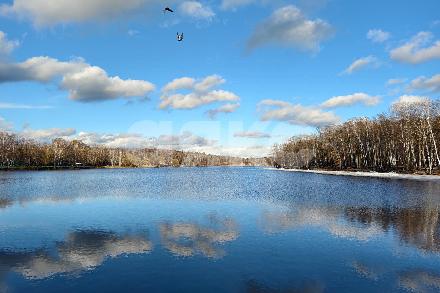 Фото №27: Дом 414 м² + 8 сот. - Малаховка, ул. Электропосёлок, 1