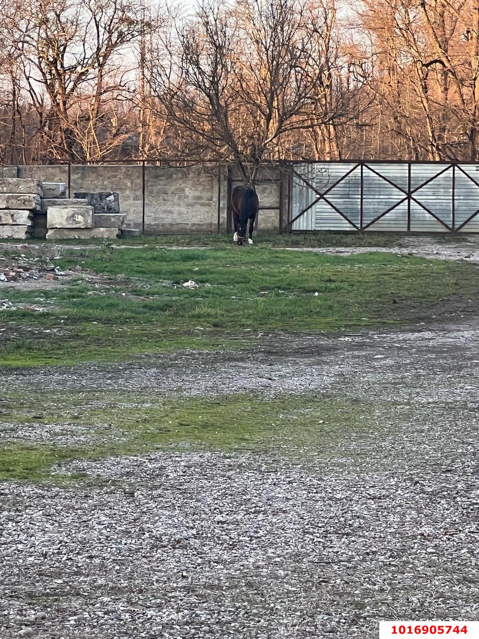 Фото №3: Земельный участок под ИЖС - Новые Поляны