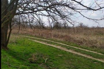 Фото №2: Личное подсобное хозяйство - Елизаветинская, ст Кубаночка, ул. Яблоневая, 344