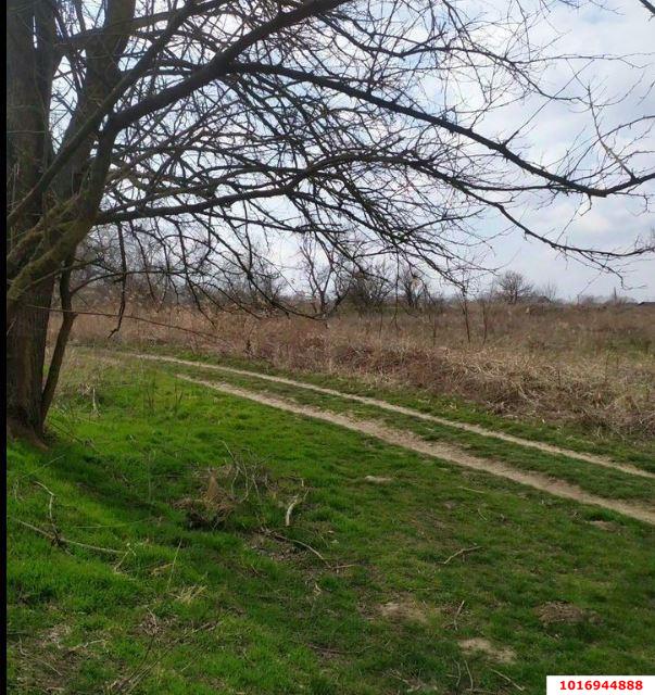 Фото №2: Личное подсобное хозяйство - Елизаветинская, Прикубанский внутригородской округ, ст Кубаночка, ул. Яблоневая, 344