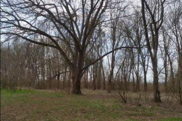 Фото №3: Личное подсобное хозяйство - Елизаветинская, ст Кубаночка, ул. Яблоневая, 344