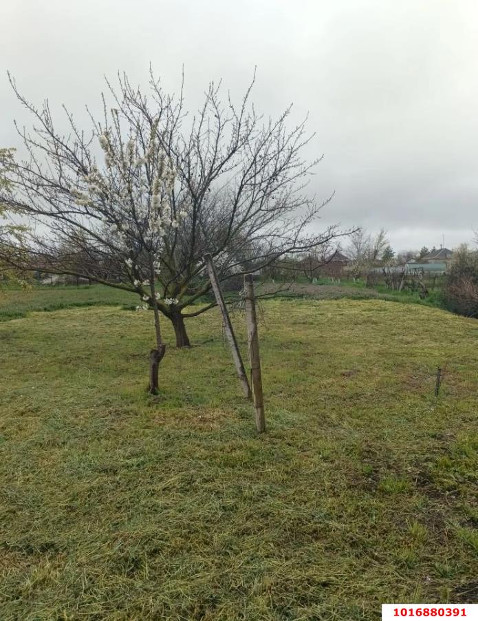 Фото №4: Дом 104 м² + 15.99 сот. - Новомышастовская, ул. Гоголя