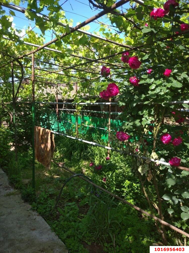 Фото №8: Дом 52 м² + 46 сот. - Петров, ул. Хакурате, 13