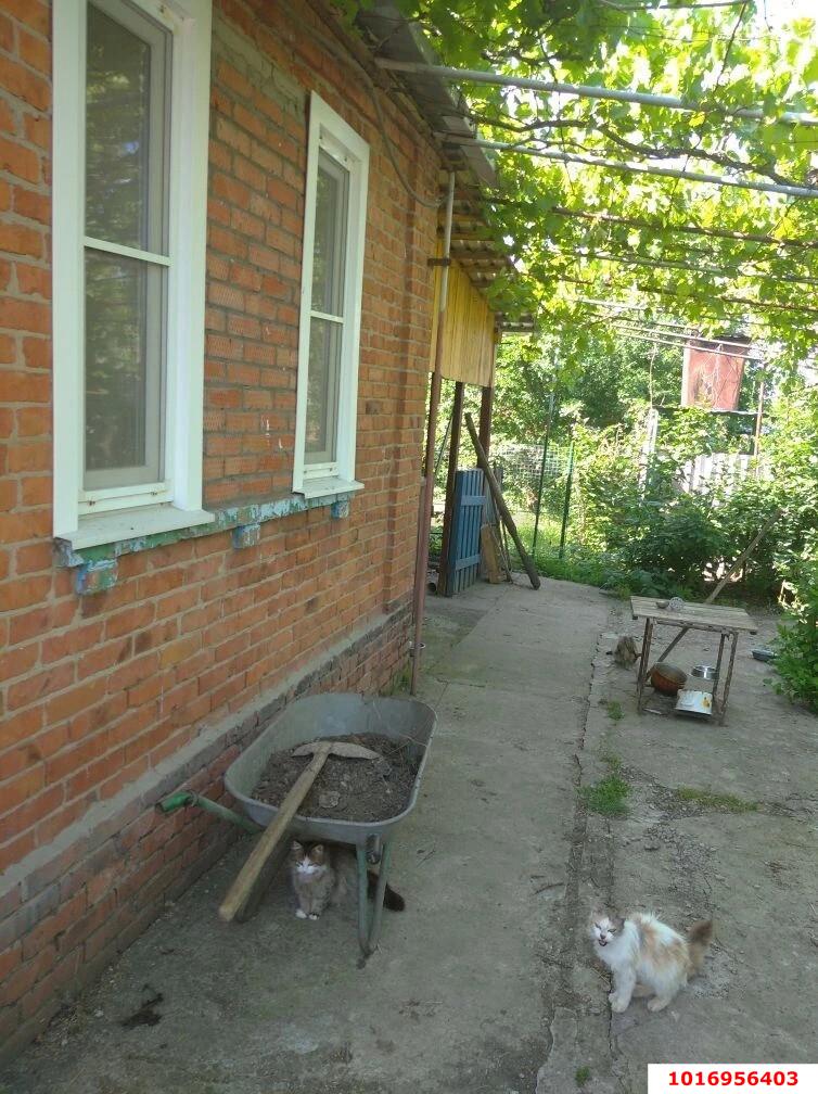 Фото №1: Дом 52 м² + 46 сот. - Петров, ул. Хакурате, 13