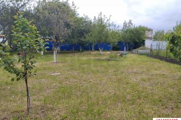 Фото №4: Личное подсобное хозяйство - Октябрьский, ст Радужное, ул. Зелёная