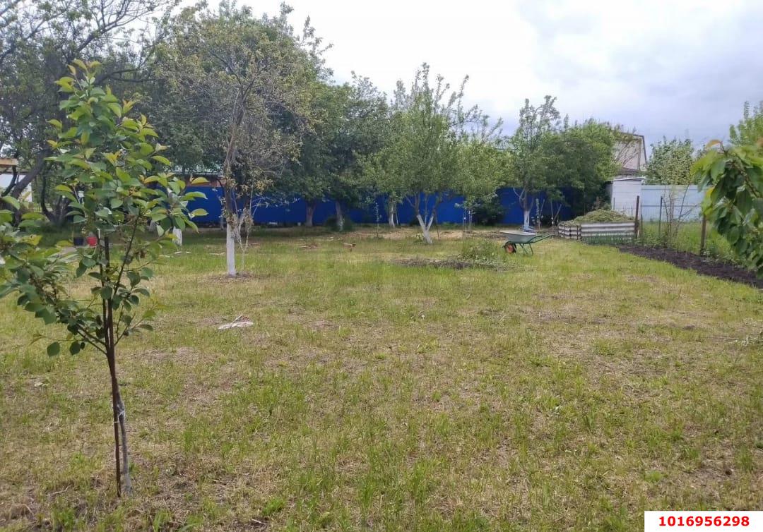 Фото №4: Личное подсобное хозяйство - Октябрьский, Прикубанский внутригородской округ, ст Радужное, ул. Зелёная