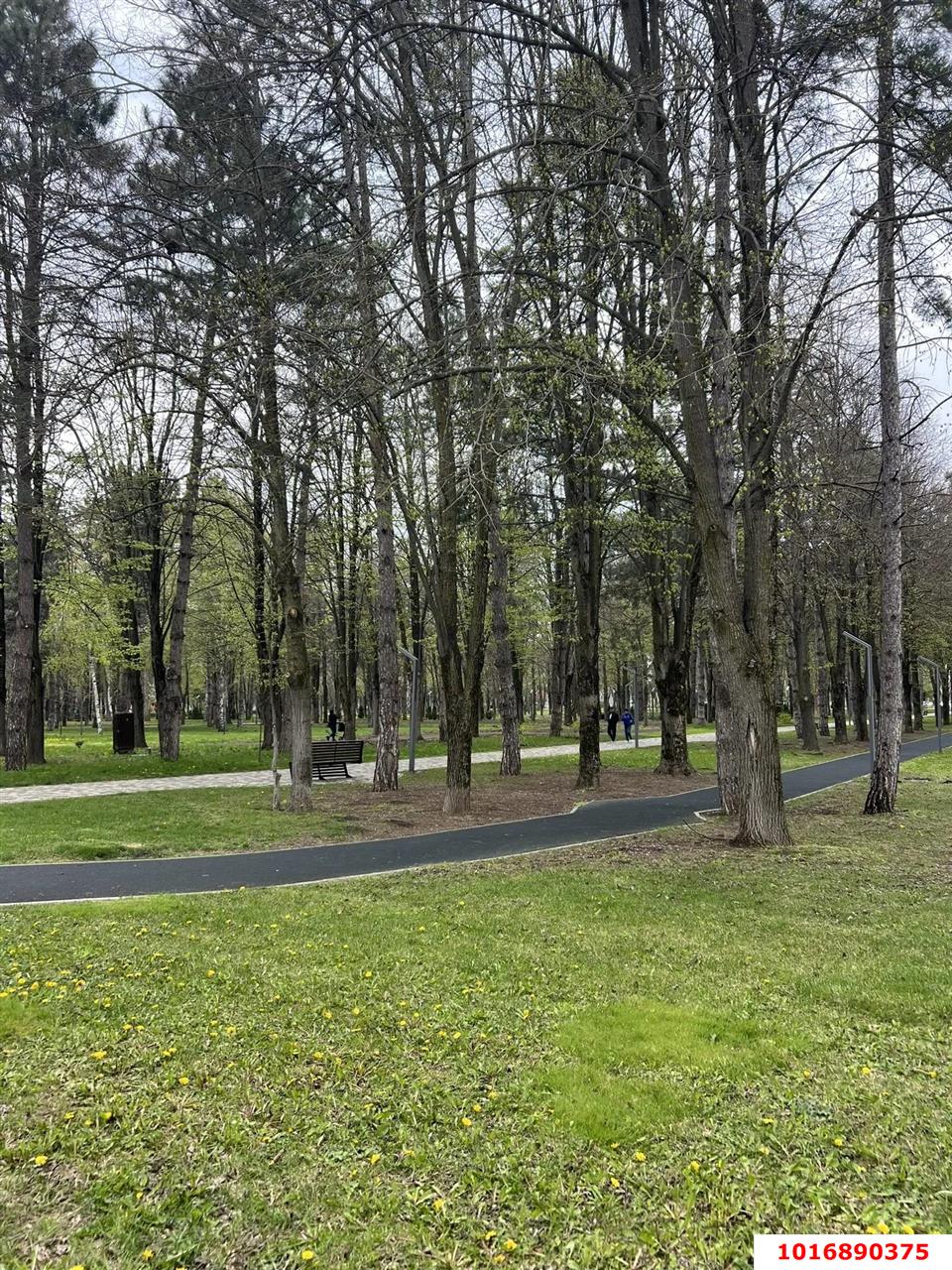 Фото №10: Студия 24 м² - Берёзовый, Прикубанский внутригородской округ, п. Прогресс, ул. имени Туполева А.Н., 2