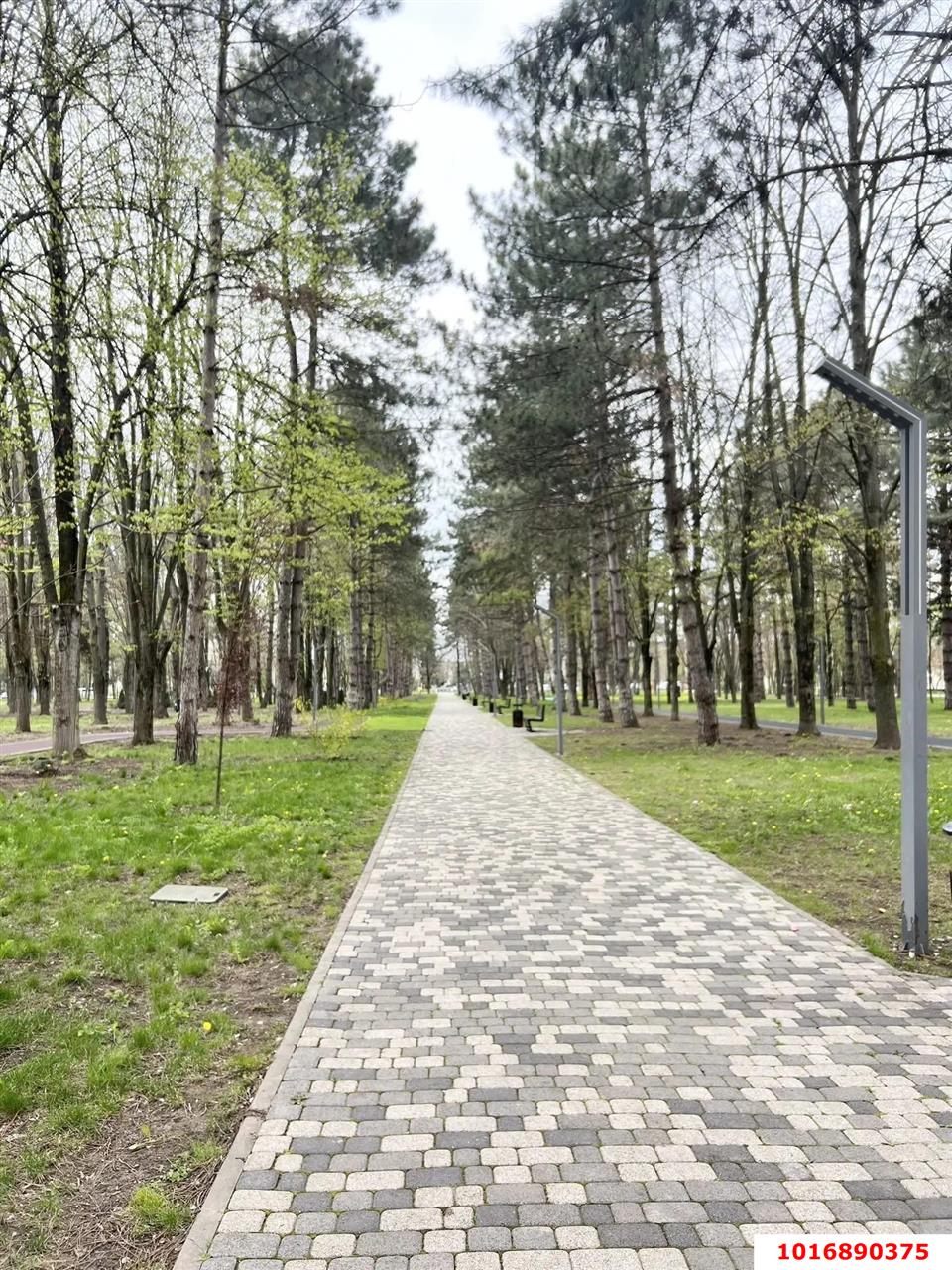 Фото №11: Студия 24 м² - Берёзовый, Прикубанский внутригородской округ, п. Прогресс, ул. имени Туполева А.Н., 2