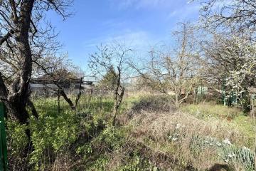 Фото №4: Личное подсобное хозяйство - Октябрьский, ст Радужное, ул. Оранжевая, 83