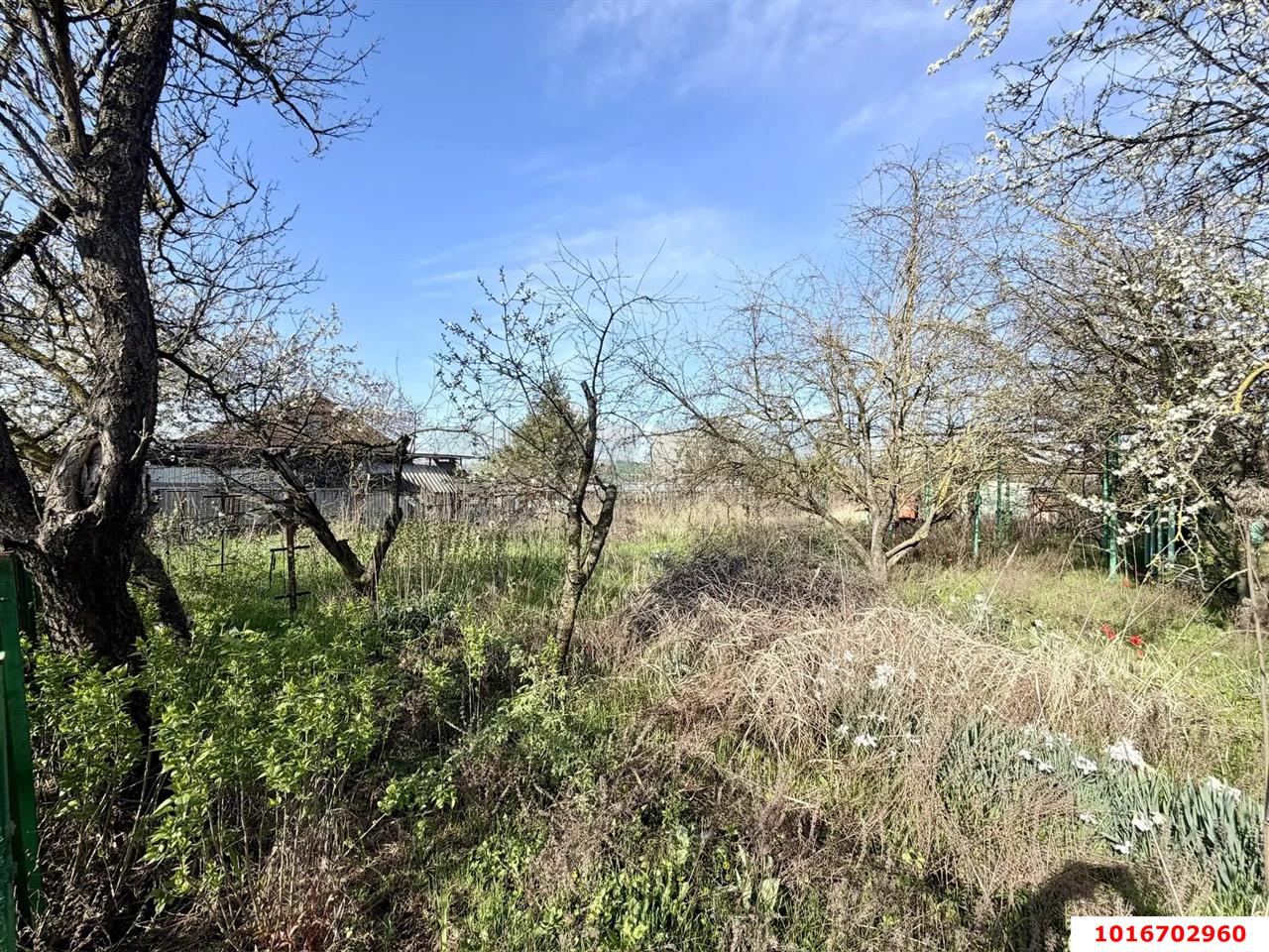 Фото №4: Личное подсобное хозяйство - Октябрьский, Прикубанский внутригородской округ, ст Радужное, ул. Оранжевая, 83