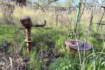 Фото №5: Личное подсобное хозяйство - Октябрьский, ст Радужное, ул. Оранжевая, 83