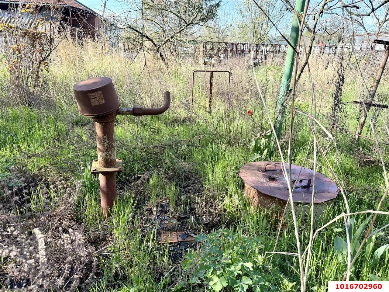 Фото №5: Личное подсобное хозяйство - Октябрьский, Прикубанский внутригородской округ, ст Радужное, ул. Оранжевая, 83