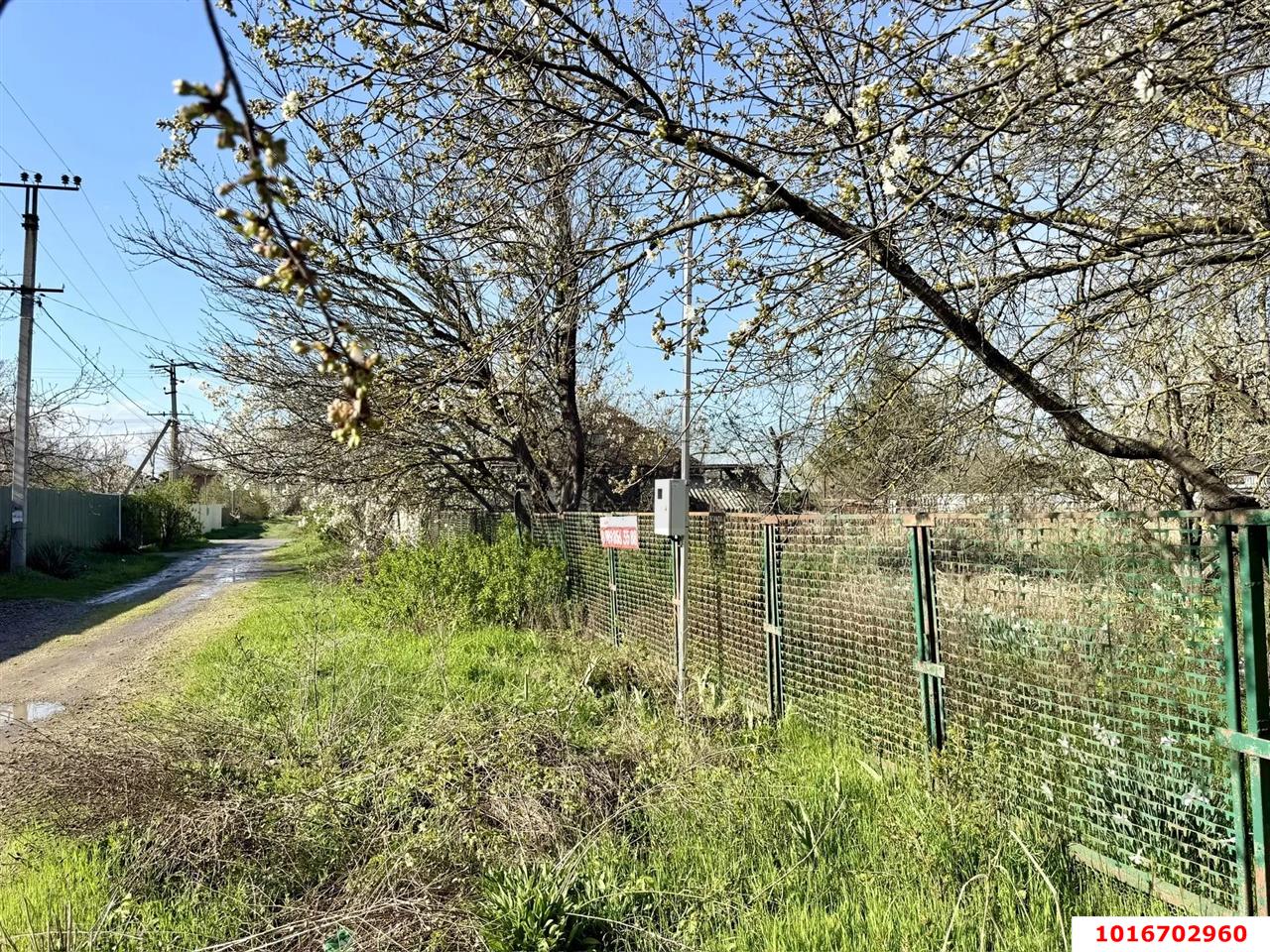 Фото №9: Личное подсобное хозяйство - Октябрьский, Прикубанский внутригородской округ, ст Радужное, ул. Оранжевая, 83