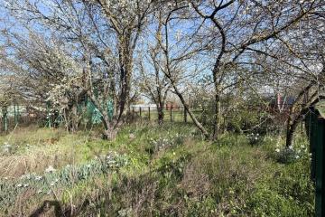 Фото №1: Личное подсобное хозяйство - Октябрьский, ст Радужное, ул. Оранжевая, 83